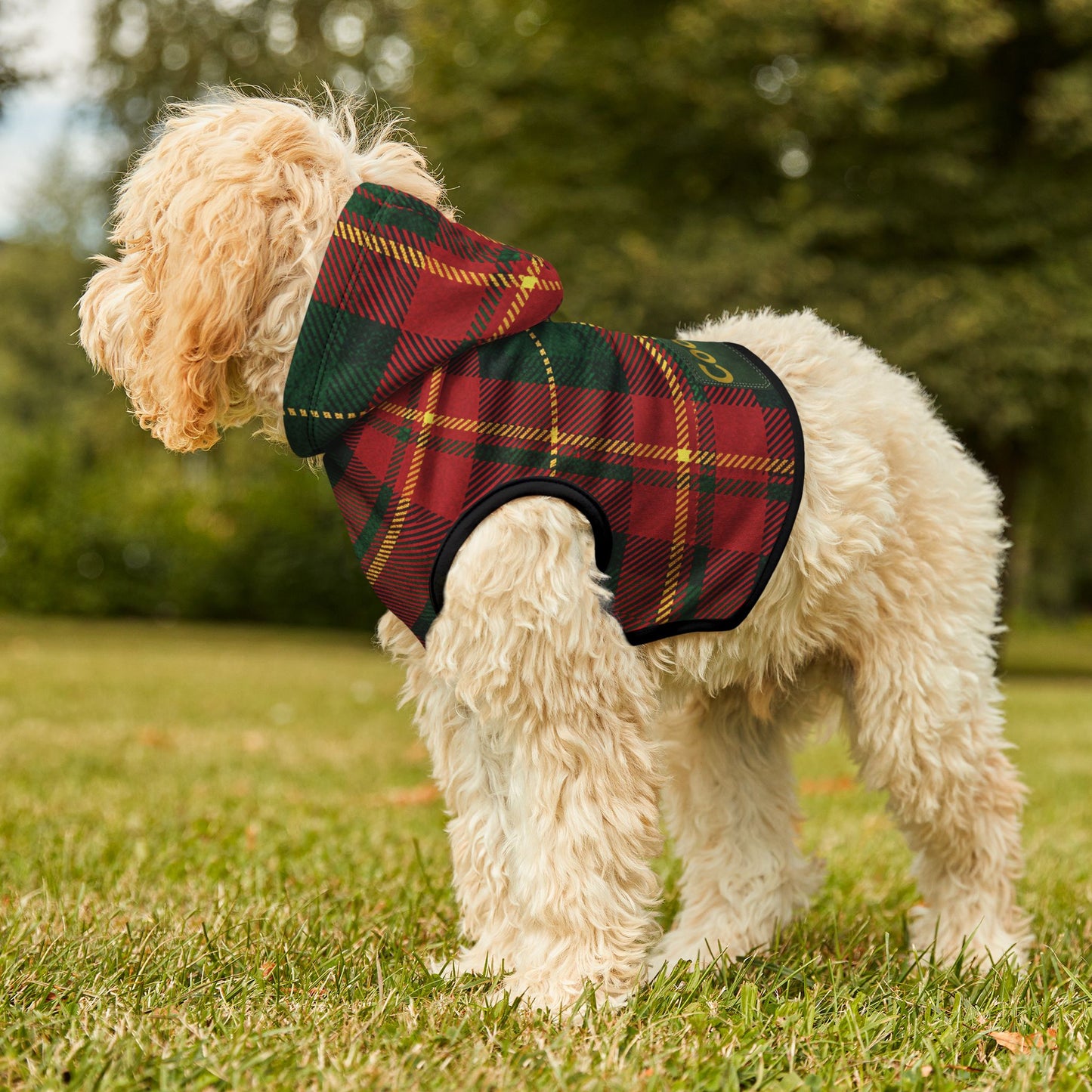 Custom Dog Name Plaid Hoodie