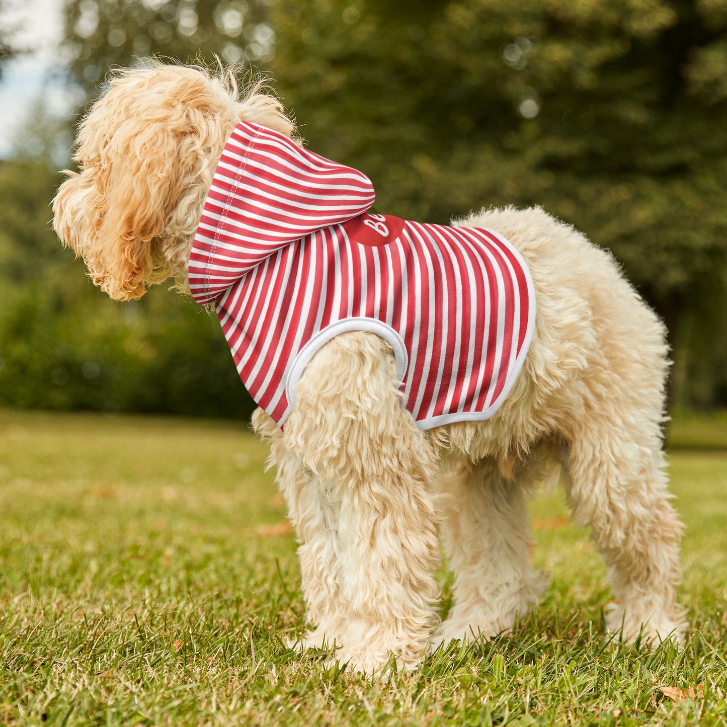 Striped Custom Dog Name Hoodie