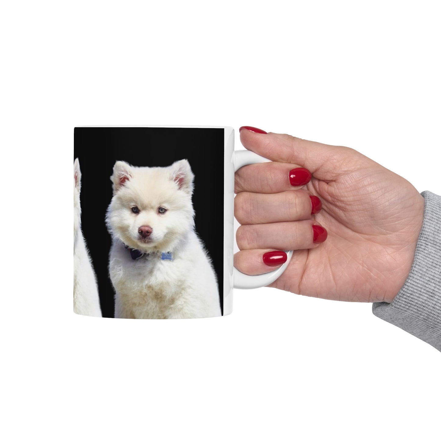 Clean Design. Strong Contrast. Your Dog in Focus