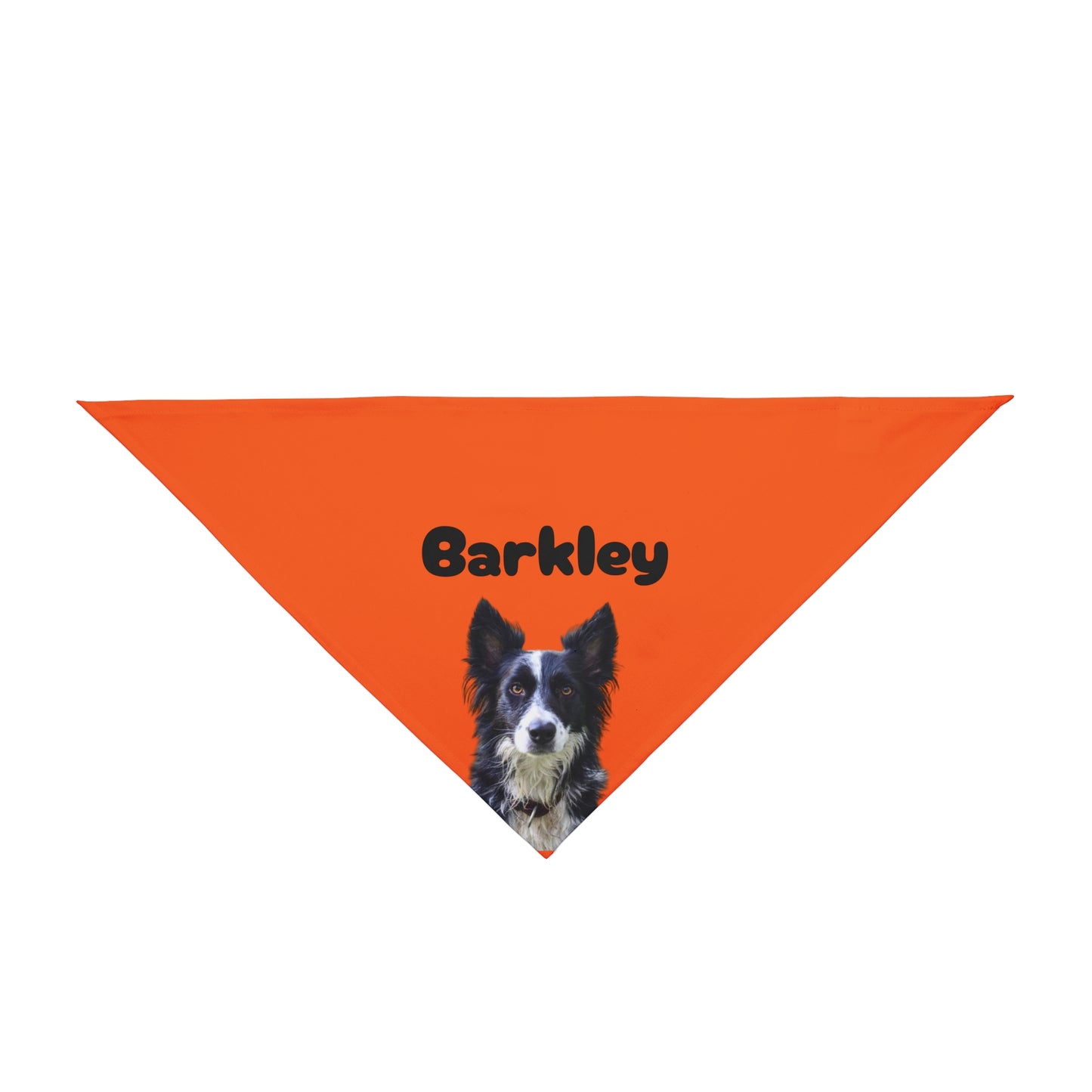 Personalized Dog Photo & Name Bandana – 8 colors, 4 fonts