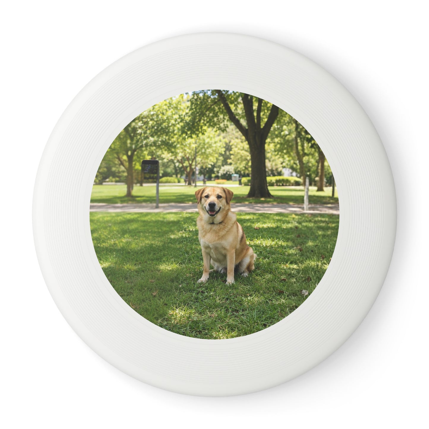 Fetch Just Got Personal