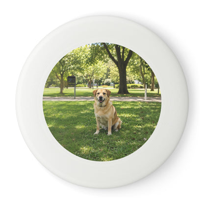 Fetch Just Got Personal