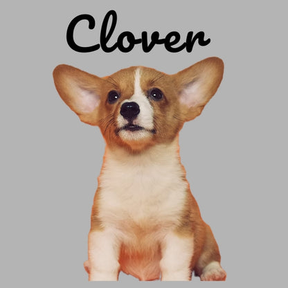 Custom Pillow Cover with Dog's Name & Photo – 12 Background Colors