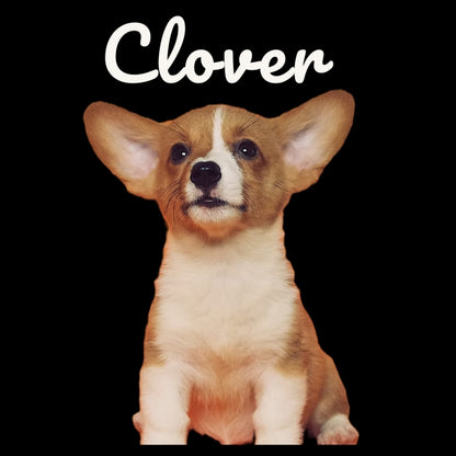 Custom Pillow Cover with Dog's Name & Photo – 12 Background Colors