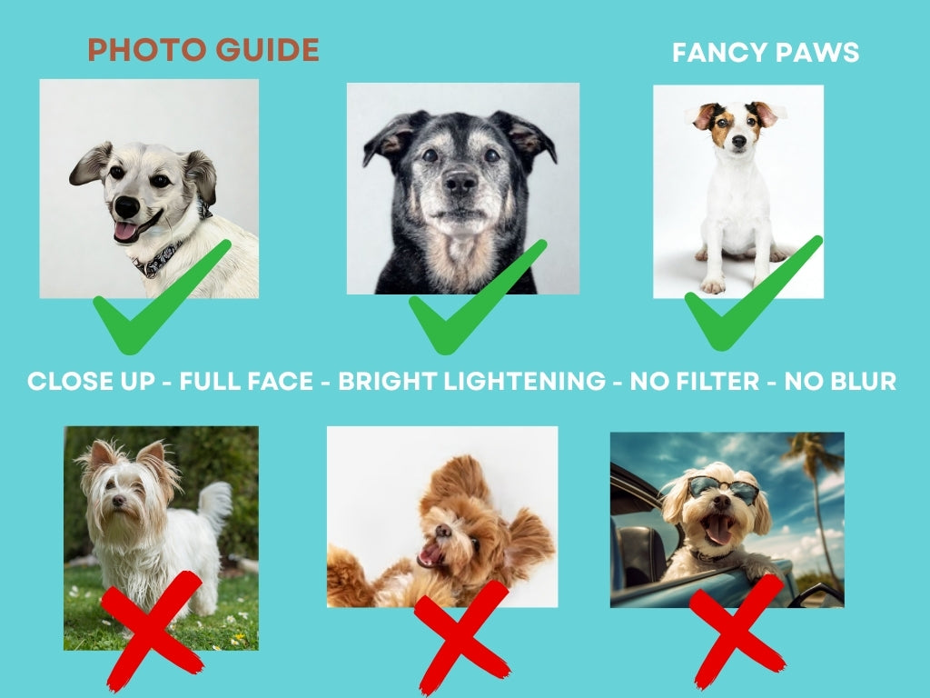 Custom Dog Placemat with Photo & Name – 12 Color Options