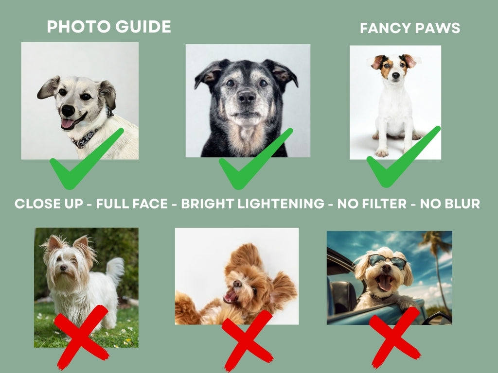 Custom Dog Tank Top with Photo & Name – 3 Color Options