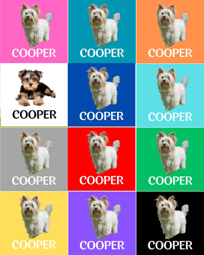 Custom Dog Placemat with Photo & Name – 12 Color Options