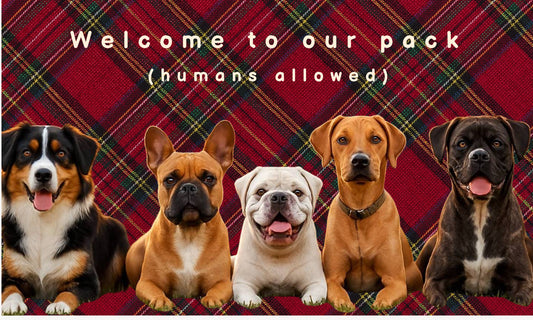 Welcome to Our Pack Doormat – Funny Custom Dog Entry Mat