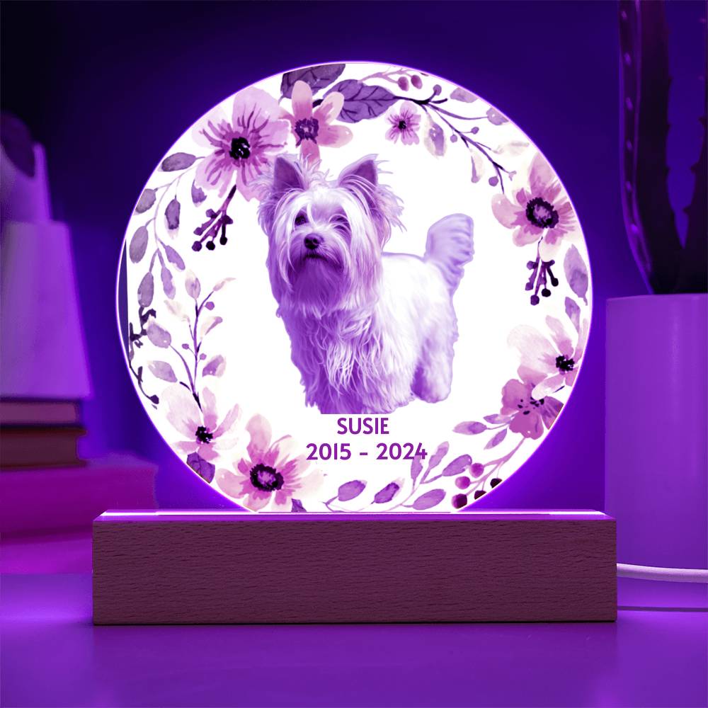 Decorative plaque with a dog's photo, floral design and purple LED light on a wooden stand.