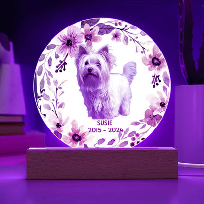 Decorative plaque with a dog's photo, floral design and purple LED light on a wooden stand.
