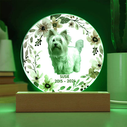 Decorative plaque with a dog's photo, floral design and green LED light on a wooden stand.