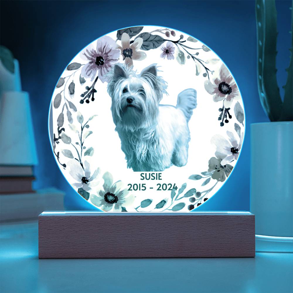 Decorative plaque with a dog's photo, floral design and blue LED light on a wooden stand.