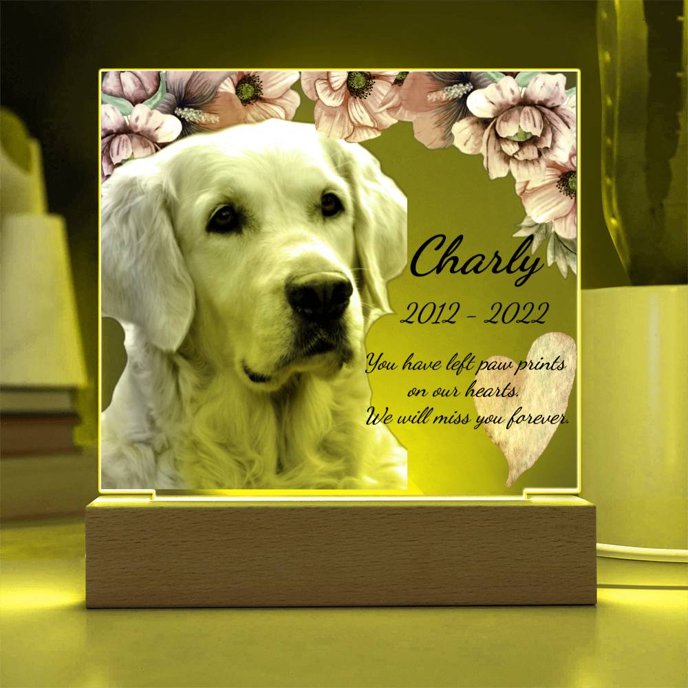 Custom Dog Memorial Plaque – Square Acrylic Keepsake with LED or Wooden Base