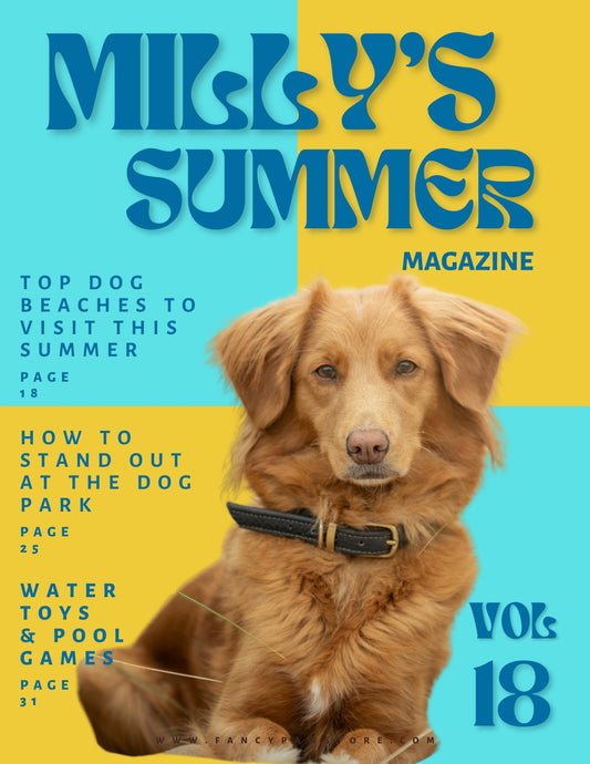 Custom Dog Magazine Cover - Poster or Canvas – Summer Fun Edition