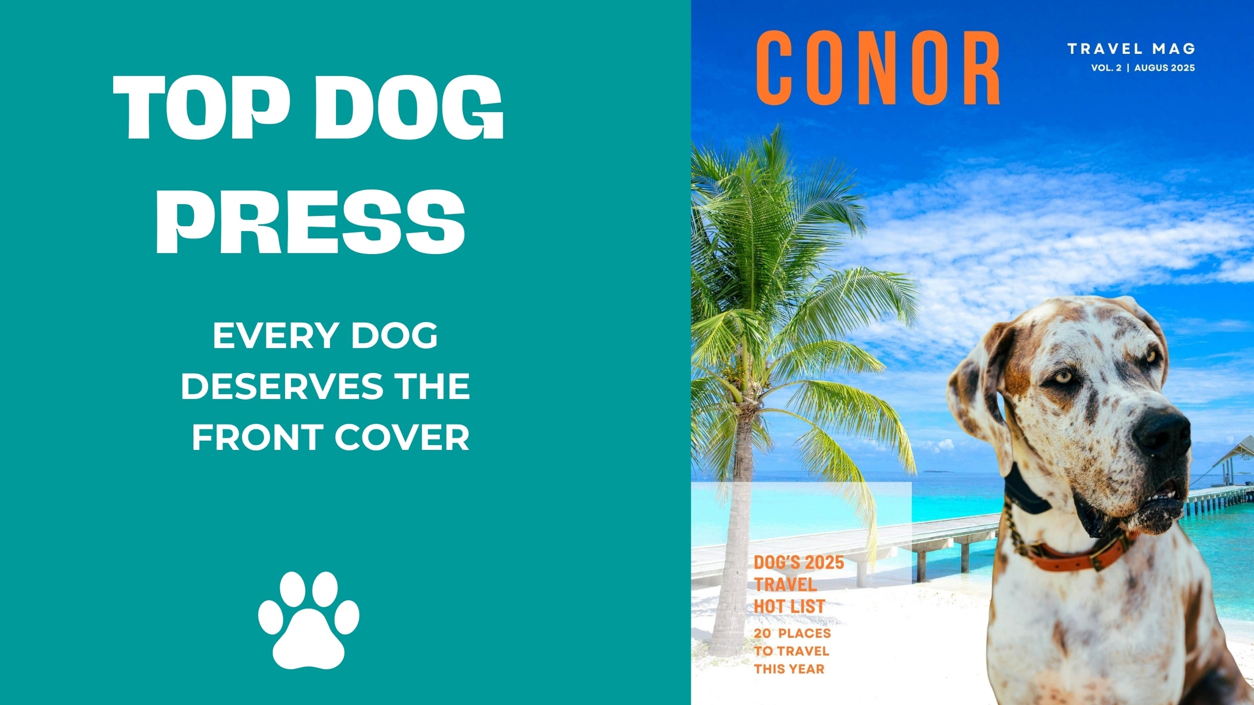 Magazine cover with a dog on a beach and 'Top Dog Press' branding