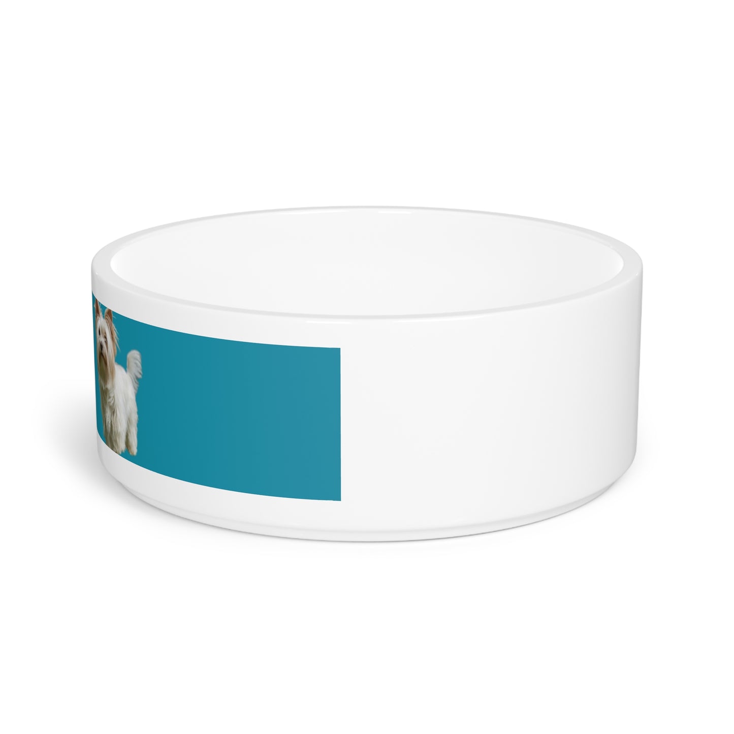 Custom Dog Bowl with Photo & Name – 12 Bold Colors