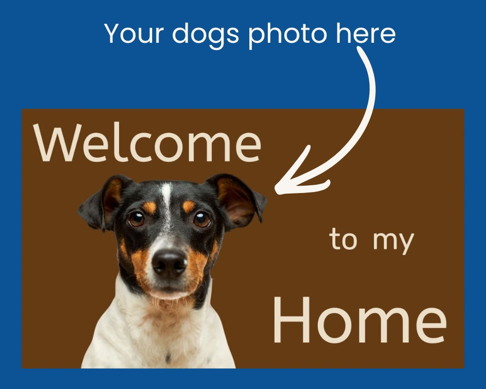 Your Dog. Your Door. Your Perfect Welcome