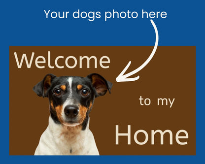Your Dog. Your Door. Your Perfect Welcome