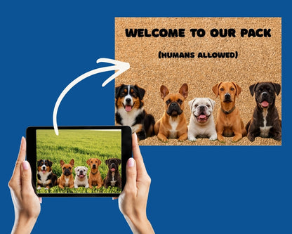 The dogs run the house — humans are invited in!