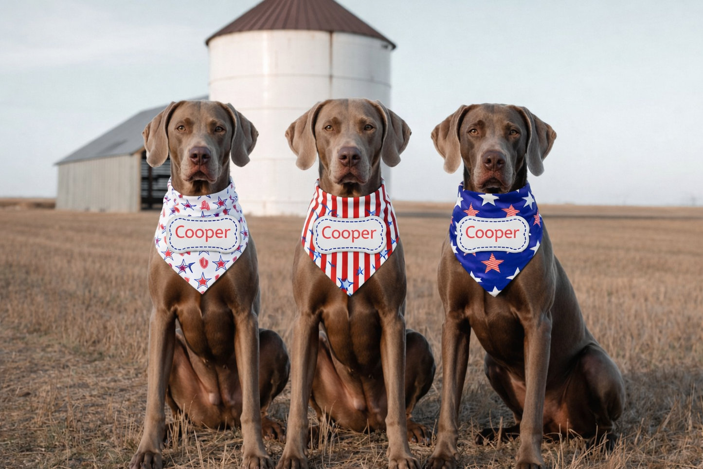 A bold red, white & blue look made personal with your dog’s name