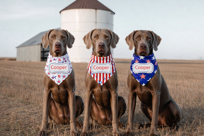 A bold red, white & blue look made personal with your dog’s name