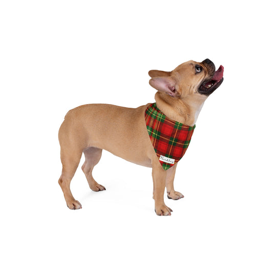 Personalized Christmas Plaid Dog Bandana – Custom Name Label