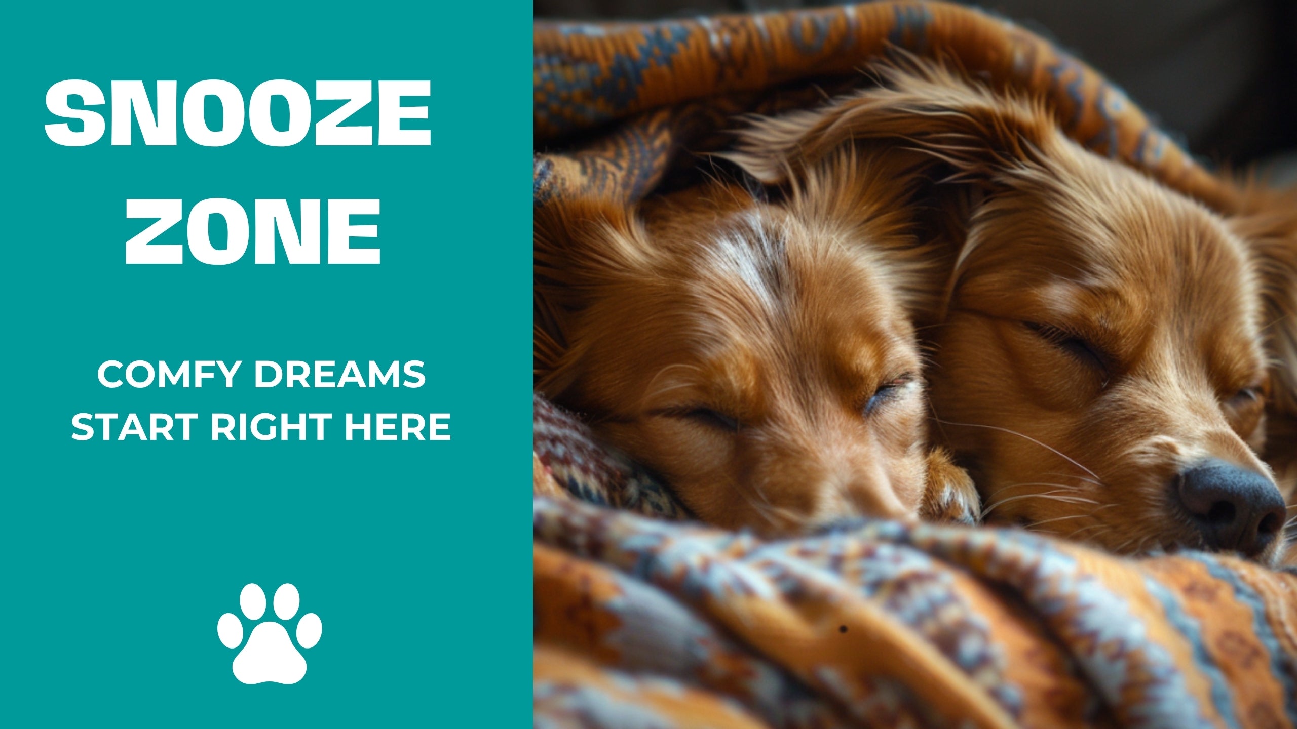 Two dogs sleeping under a blanket with 'Snooze Zone' text on a teal background