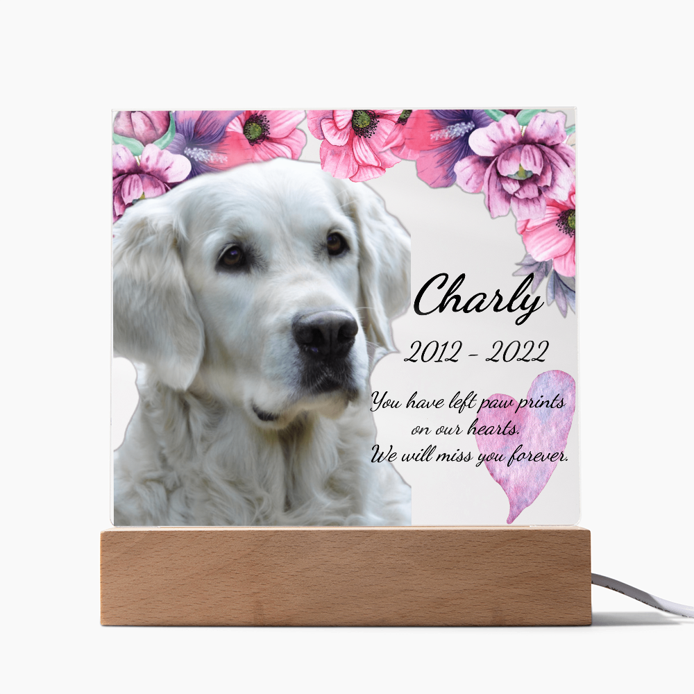 Custom Dog Memorial Plaque – Square Acrylic Keepsake with LED or Wooden Base