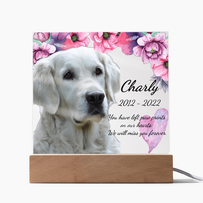 Custom Dog Memorial Plaque – Square Acrylic Keepsake with LED or Wooden Base