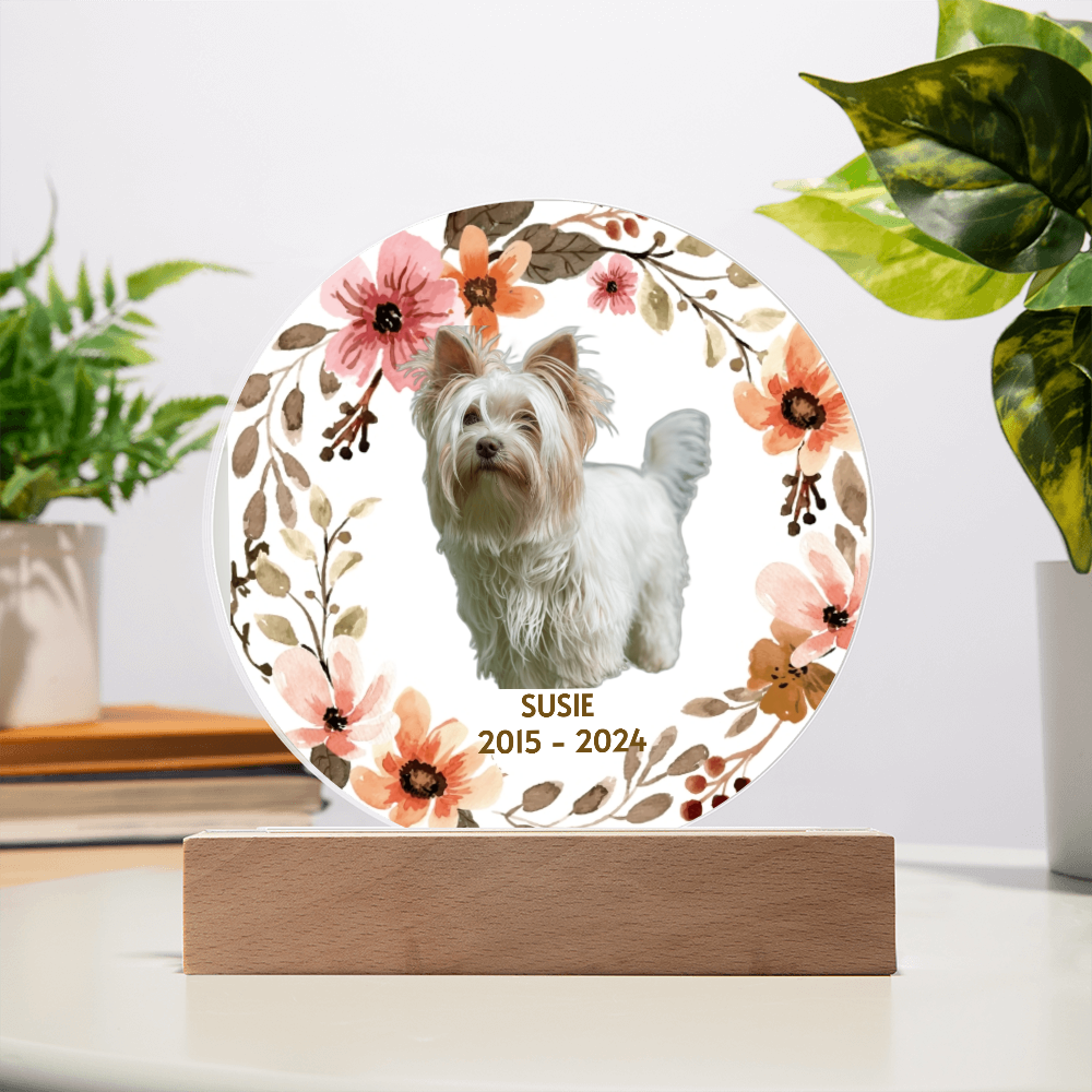 Memorial plaque with a dog's photo, floral design, and 'Susie 2015-2024' text on a white background.