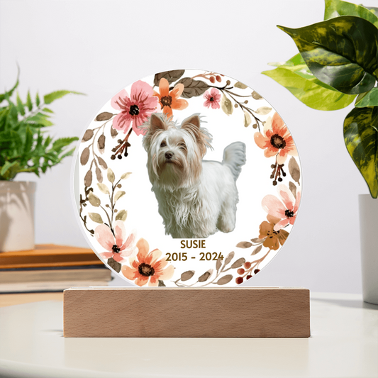 Memorial plaque with a dog's photo, floral design, and 'Susie 2015-2024' text on a white background.