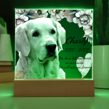 Custom Dog Memorial Plaque – Square Acrylic Keepsake with LED or Wooden Base