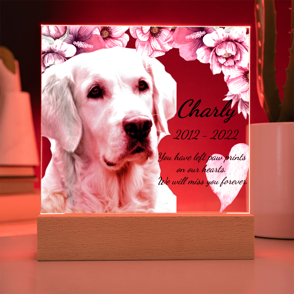 Custom Dog Memorial Plaque – Square Acrylic Keepsake with LED or Wooden Base